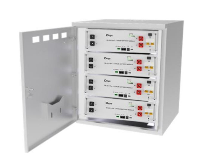 Deye SE-G5.1 Pro-B Lithium-Akku im Rack-Uni Z International B.V.